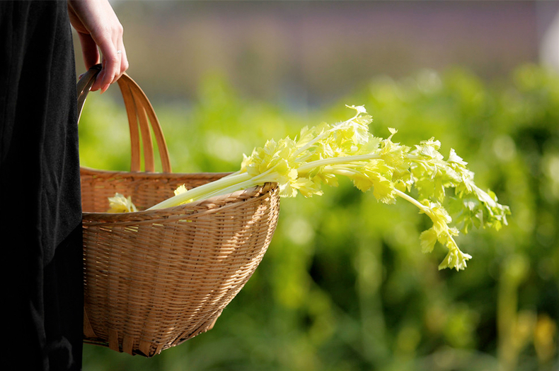 春节不做上火族 饮食搭配有妙招