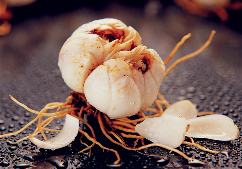 春节不做上火族 饮食搭配有妙招