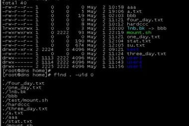 数据库每天自动备份Shell脚本