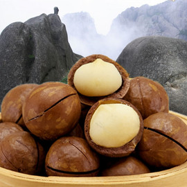 坚果的养生之道 赶紧吃起来